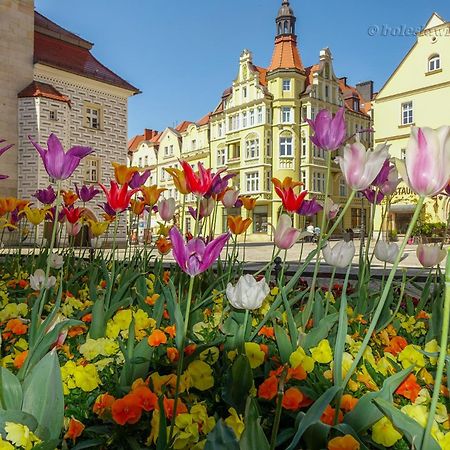 Apartament Przy Starowce - Hampton Болеславец Экстерьер фото